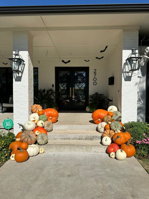 A front porch decorated with numerous orange, white, and green pumpkins arranged on the steps and along the walkway. Black bat decorations hang near the double doors, and a skeleton figure stands on the right pillar.